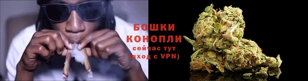 apvp Аркадак
