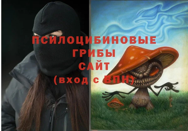 apvp Аркадак