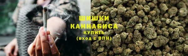 apvp Аркадак