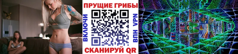 наркотики  Бронницы  Галлюциногенные грибы Psilocybine cubensis 